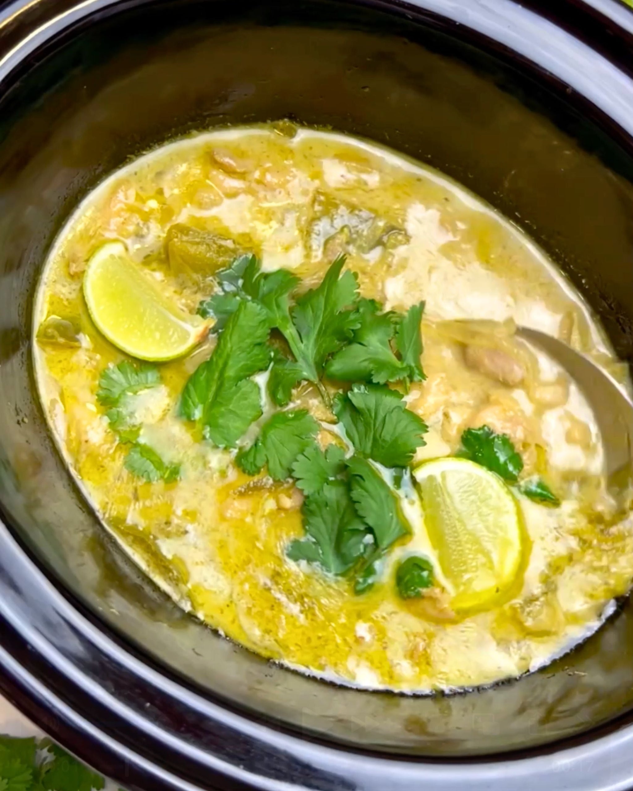 Slow Cooker Thai Green Chicken Curry