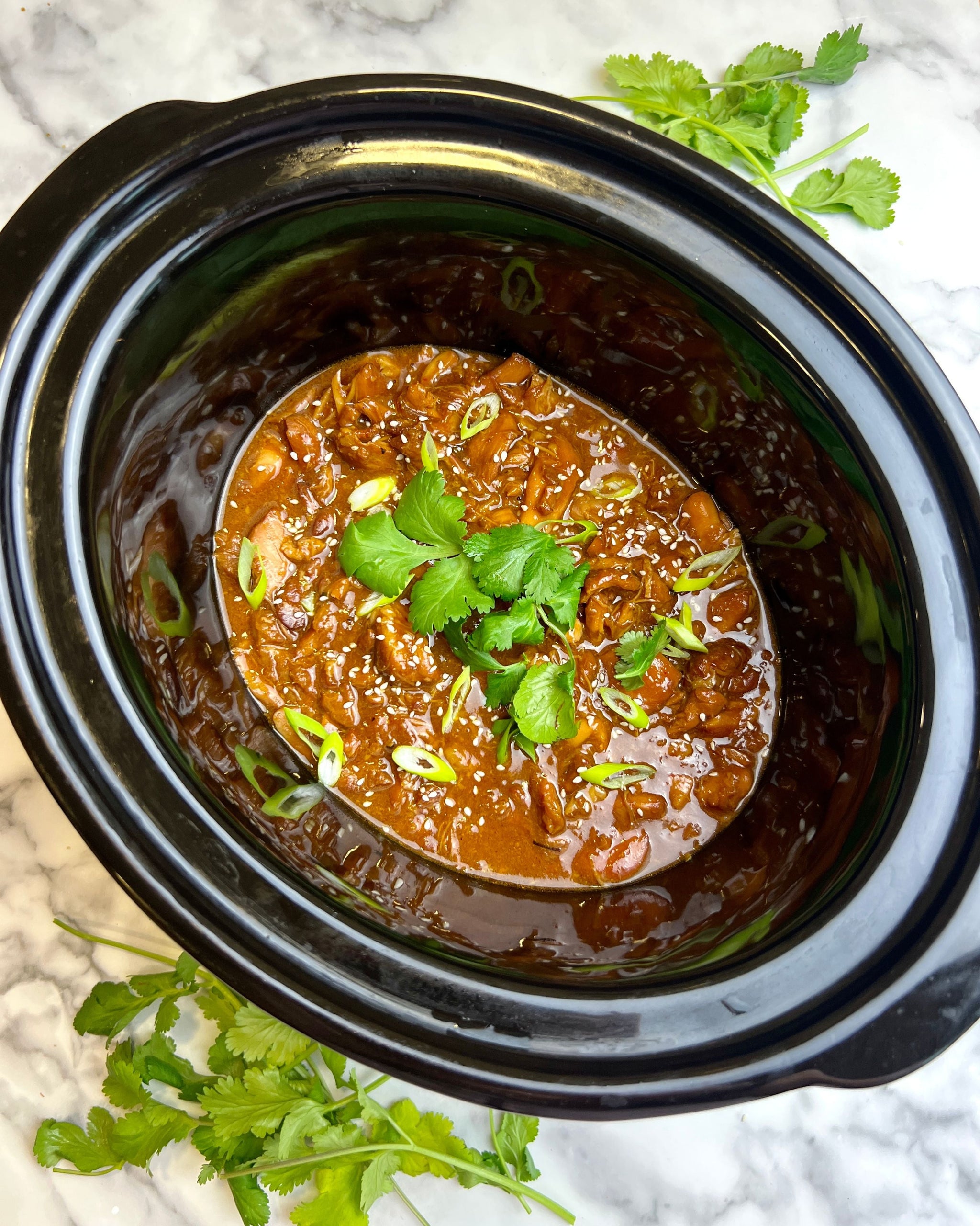 Slow Cooker Honey Garlic Chicken